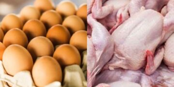 Harga Telur dan Daging Ayam di Tabalong Masih Tinggi