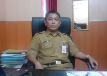 Bukan Hanya Audit Ini Tugas Inspektorat Kabupaten