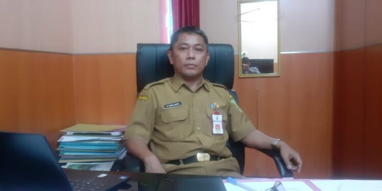 Bukan Hanya Audit Ini Tugas Inspektorat Kabupaten