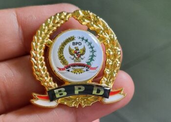 Pengawasan BPD Hanya Bersifat Monitoring ke Desa