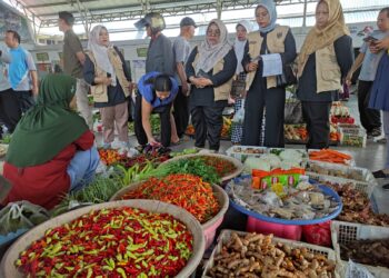 Pedas! Harga Cabai di Tabalong Tembus Rp 100.000