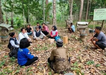 KPH Targetkan Peningkatan Kelas Kelompok Tani Tabalong