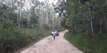 Bina Marga Prioritaskan Pembangunan Jalan Terisolir di Tabalong Tahun Ini