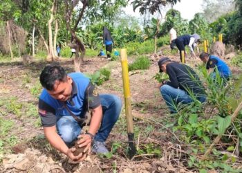 Revolusi Hijau, 211.000 Bibit Pohon Akan Kembali Ditanam di Tabalong
