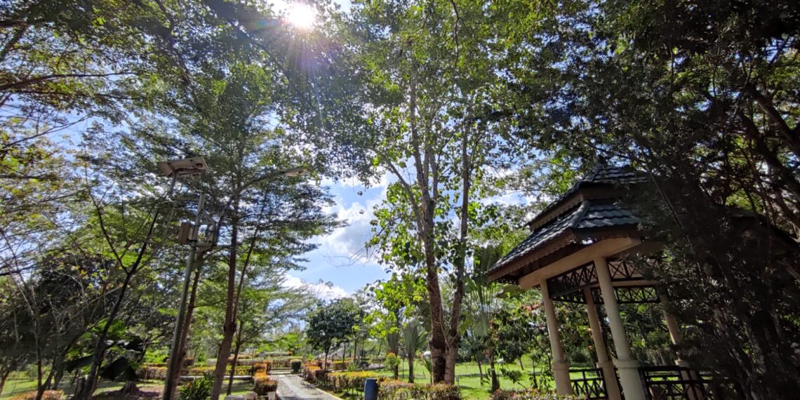 DLH Tabalong Bakal Bangun Tiga RTH dan Percantik Media Jalan