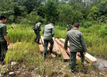 KPH Tabalong Gencarkan Patroli Kawasan Hutan
