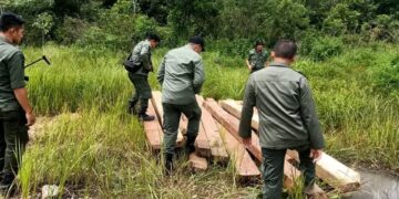 KPH Tabalong Gencarkan Patroli Kawasan Hutan