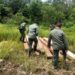 KPH Tabalong Gencarkan Patroli Kawasan Hutan