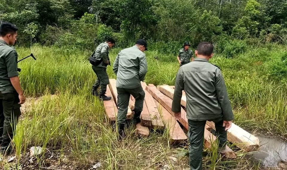 KPH Tabalong Gencarkan Patroli Kawasan Hutan