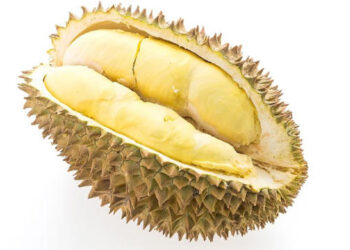 10 Manfaat Makan Durian, Efeknya Bikin Berdecak Kagum