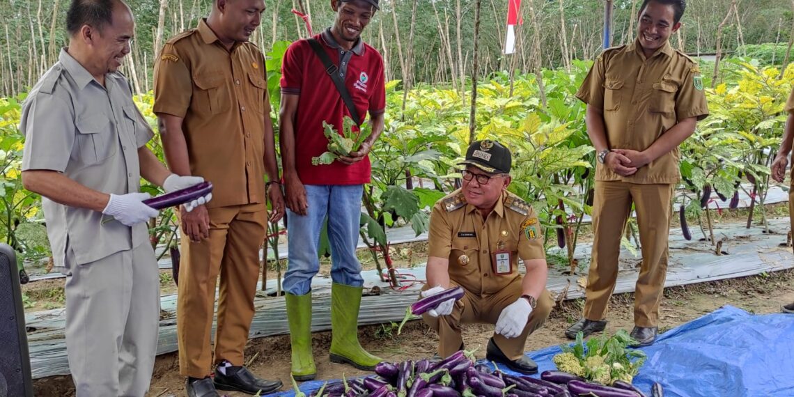 Bupati Tabalong Puji Perkembangan Hortikultura di Catur Karya