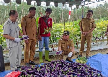 Bupati Tabalong Puji Perkembangan Hortikultura di Catur Karya