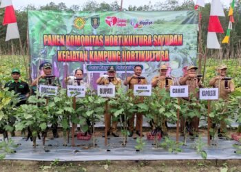 Kampung Hortikultura di Haruai Banjir Dukungan