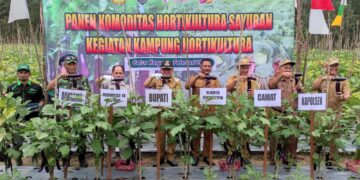 Kampung Hortikultura di Haruai Banjir Dukungan
