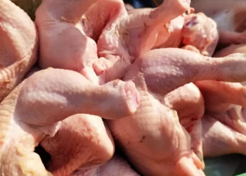 Jelang Lebaran Harga Ayam dan Beras Premium di Tabalong Merangkak Naik