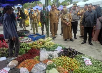 Stok Bahan Pokok di Tabalong Masih Aman
