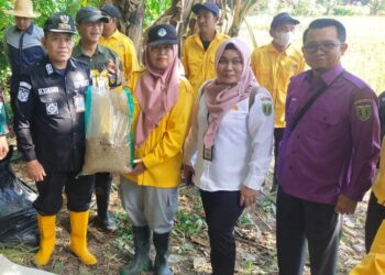 Panen Raya Padi Bibit Mikongga di Desa Bangkiling