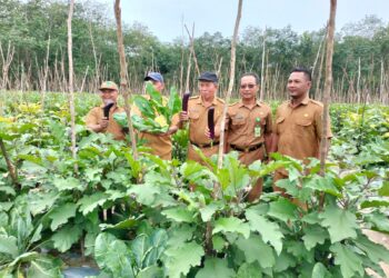 Tabalong Miliki 10 Desa Andalan Agrowisata dan Hortikultura