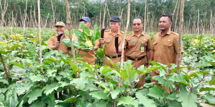 Tabalong Miliki 10 Desa Andalan Agrowisata dan Hortikultura