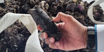 Tabalong Gandeng Perusahaan PLTU Kelola Sampah Organik Menjadi Bahan Bakar