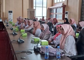 Honor Sangat Minim, Tenaga Kependidikan Tabalong Minta Perhatian