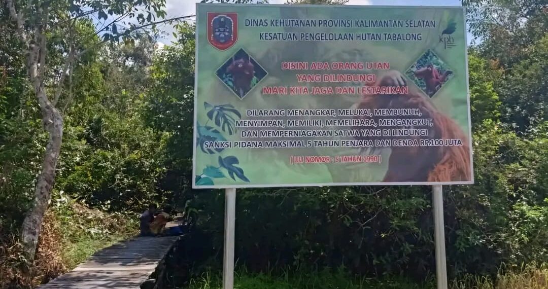 Lindungi Orang Utan di Desa Habau, KPH Tabalong Pasang Papan Peringatan
