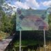 Lindungi Orang Utan di Desa Habau, KPH Tabalong Pasang Papan Peringatan