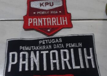 Mahir Gunakan Gadget? Buruan Daftar Pantarlih Tabalong
