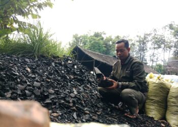 Dari Tangan Kreatif Anton, Limbah Arang Disulap Menjadi Pupuk Organik