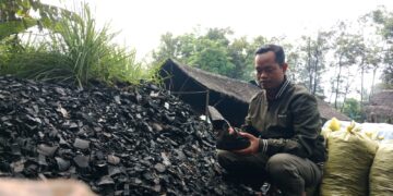 Dari Tangan Kreatif Anton, Limbah Arang Disulap Menjadi Pupuk Organik