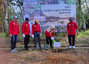 Kawasan Nan Sarunai Dihijaukan dengan Tanaman Buah