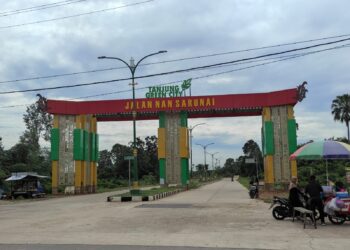 PJU Jalan Nan Sarunai Sudah Ada yang Rusak