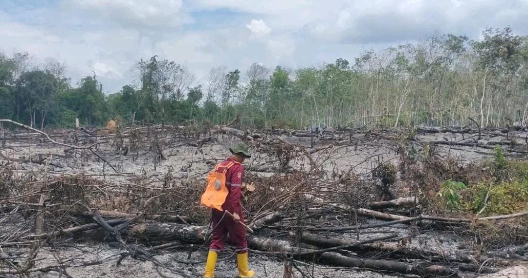 KPH Tabalong Deteksi Ada Pembakaran Lahan di Haruai