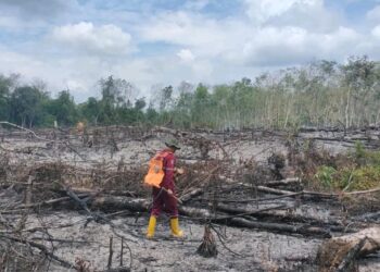 KPH Tabalong Deteksi Ada Pembakaran Lahan di Haruai