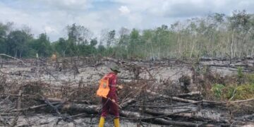 KPH Tabalong Deteksi Ada Pembakaran Lahan di Haruai