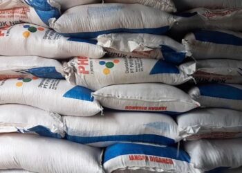 Alokasi Pupuk Bersubsidi Provinsi Kalsel Bertambah Puluhan Ribu Ton
