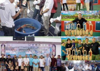 Nan Sarunai Koi Tabalong Borong Piala Kontes Ikan Skala Nasional