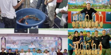 Nan Sarunai Koi Tabalong Borong Piala Kontes Ikan Skala Nasional