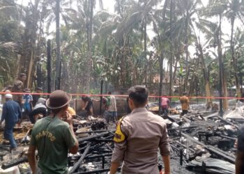 Kebakaran di Lumbang, Kerugian Ditaksir Rp 400 Juta