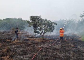 Wilayahnya Gambut, Dua Kecamatan Ini Berpotensi Kebakaran Lahan di Tabalong