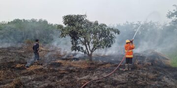 Wilayahnya Gambut, Dua Kecamatan Ini Berpotensi Kebakaran Lahan di Tabalong
