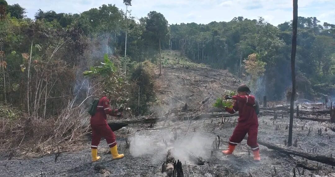 Hingga September Puluhan Hektar Lahan Terbakar di Tabalong