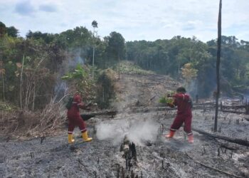 Hingga September Puluhan Hektar Lahan Terbakar di Tabalong