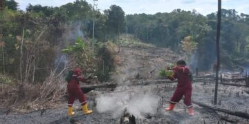 Hingga September Puluhan Hektar Lahan Terbakar di Tabalong