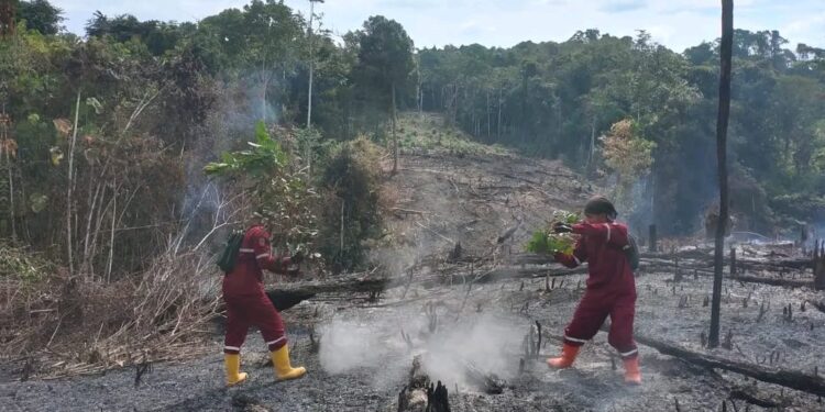 Hingga September Puluhan Hektar Lahan Terbakar di Tabalong