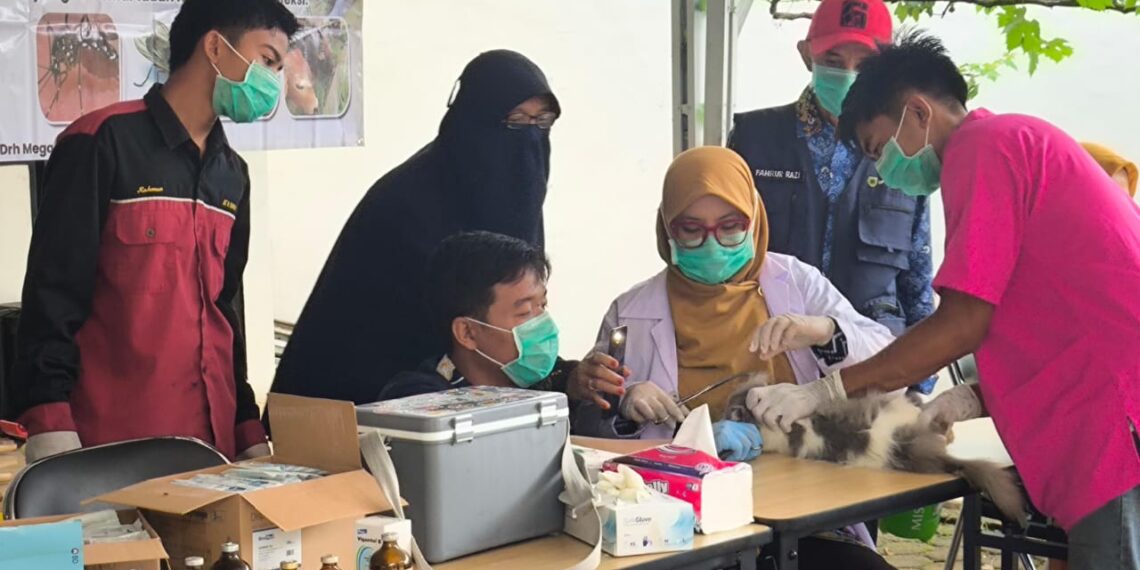 Hari Ini Disbunnak Tabalong Beri Layanan Kesehatan Hewan Gratis
