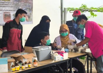 Hari Ini Disbunnak Tabalong Beri Layanan Kesehatan Hewan Gratis