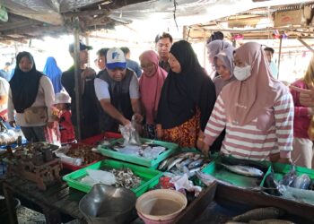 H Fani – Habib Taufan Dapat Dukungan Warga Karena 7 Program Unggulannya Dibutuhkan Masyarakat