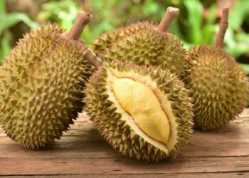 Makan Buah Durian Ternyata Tidak Boleh Bersama dengan 5 Minuman Ini