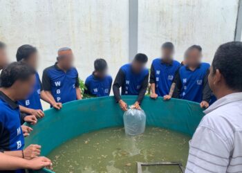 Warga Binaan Lapas Tanjung Budidayakan Ikan di Kolam Terpal